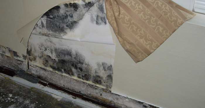 Water Damage Restoration