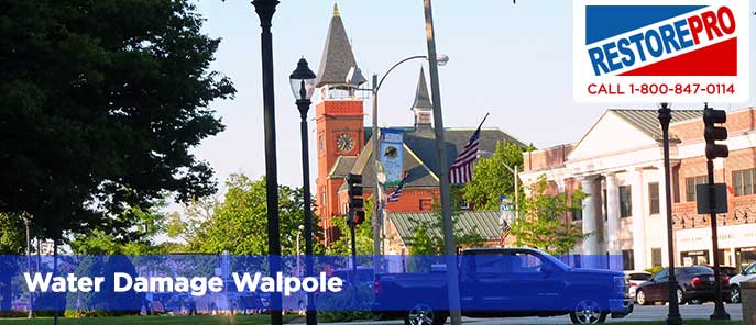 Water Damage Walpole