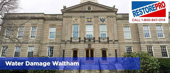 Water Damage Waltham
