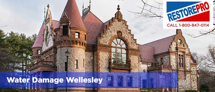 Water Damage Wellesley