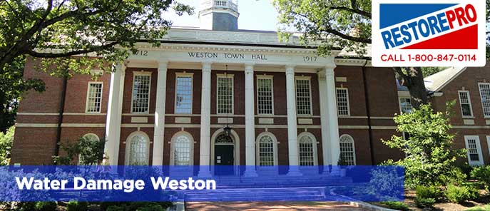 Water Damage Weston