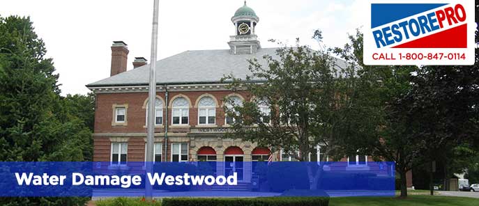 Water Damage Westwood