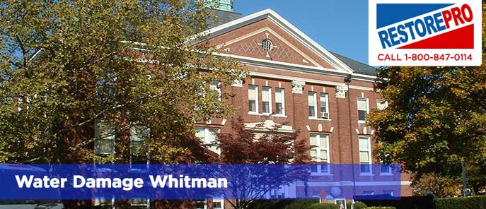 Water Damage Whitman
