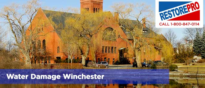 Water Damage Winchester