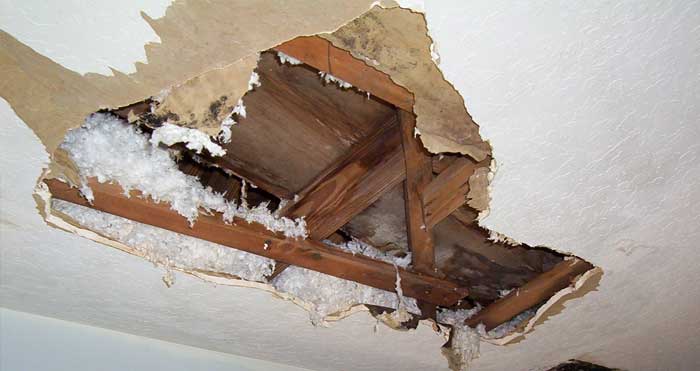 Water Damage Mitigation