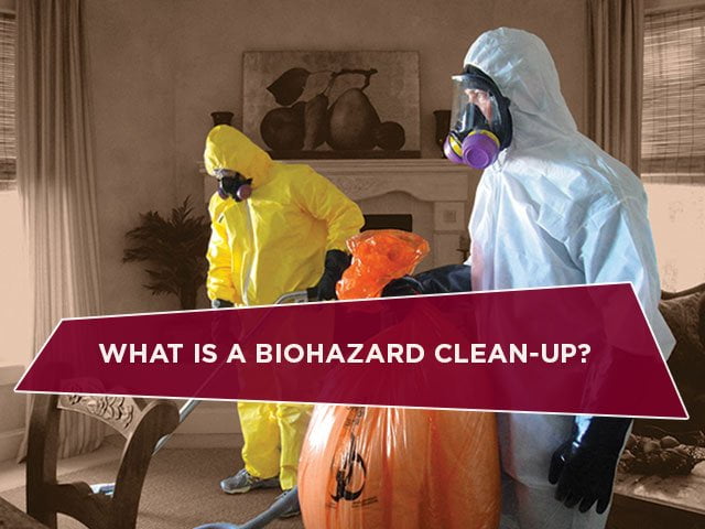What Is A Biohazard Clean-Up?