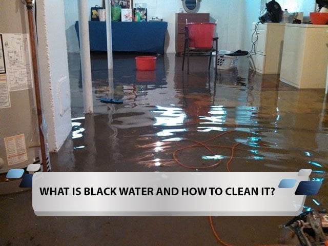 What is Black Water and How to Clean It?
