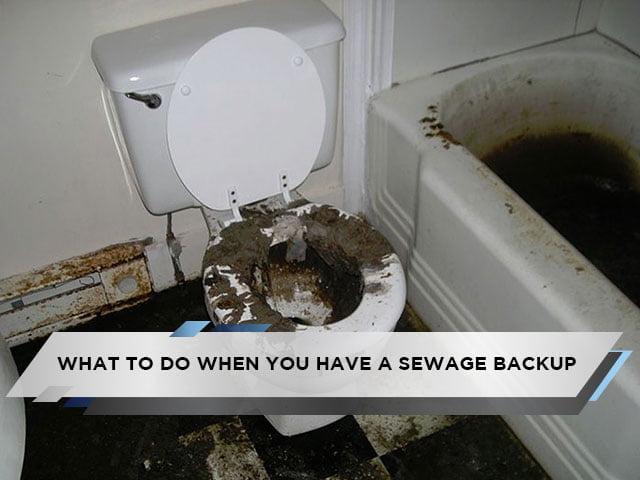 What To Do When You Have a Sewage Backup