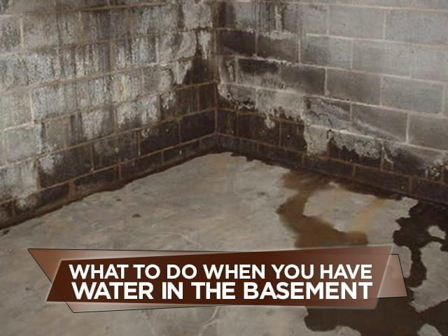 What to Do When You Have Water in the Basement