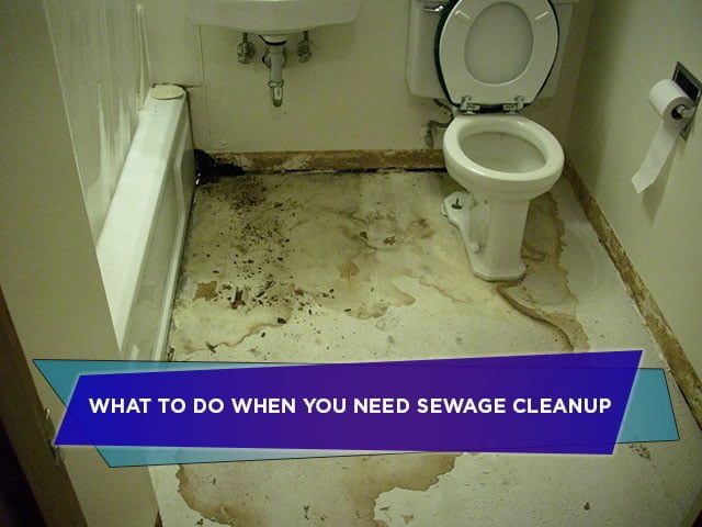 What to Do When You Need Sewage Cleanup