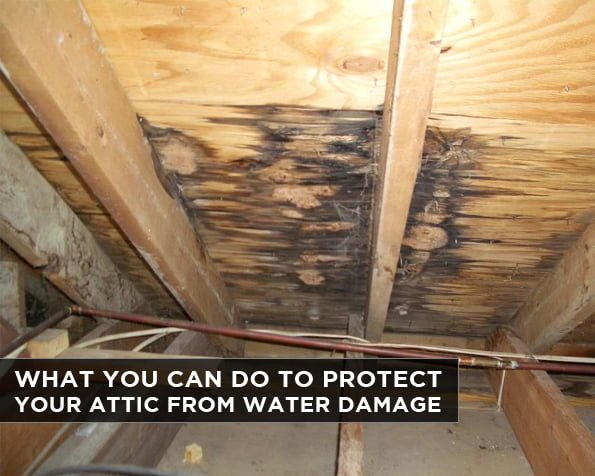 What You Can Do To Protect Your Attic From Water Damage