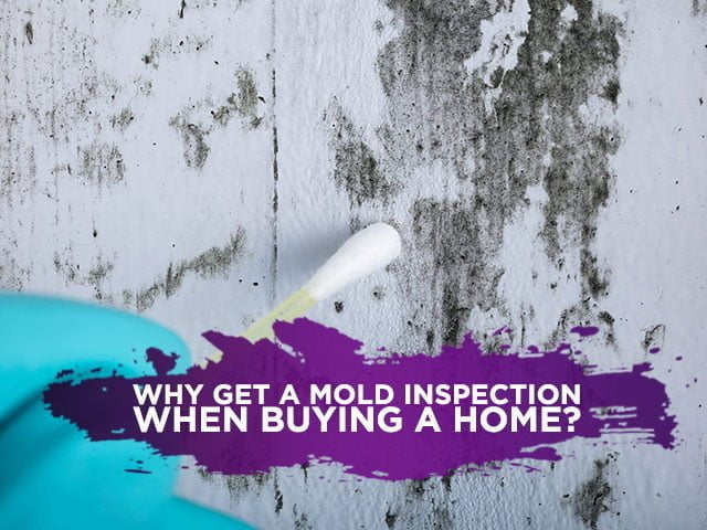 Why Get a Mold Inspection When Buying a Home?