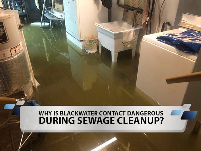 Why Is Blackwater Contact Dangerous During Sewage Cleanup?