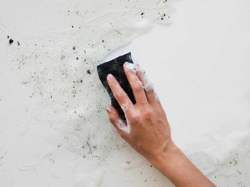 Why Mold Remediation Matters for Healthy Living Spaces