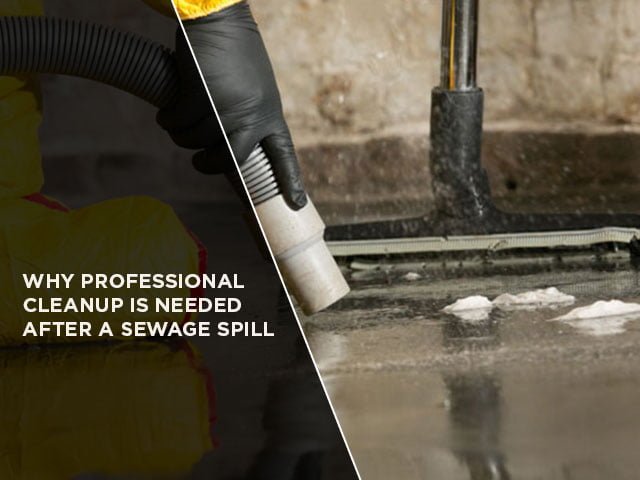 Why Professional Cleanup is Needed After a Sewage Spill