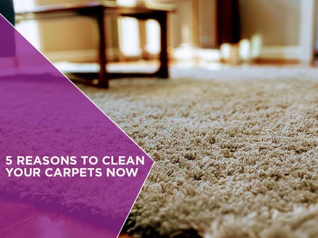 5 Reasons to Clean Your Carpets Now