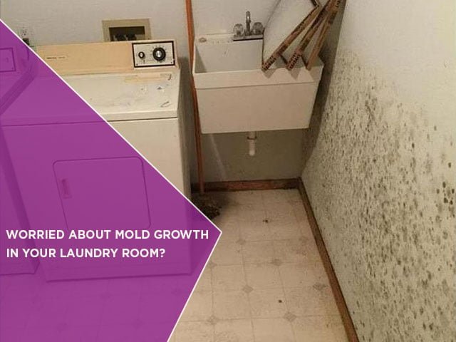 Worried About Mold Growth In Your Laundry Room?