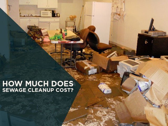 How Much Does Sewage Cleanup Cost, Basement Sewage Clean Up Cost