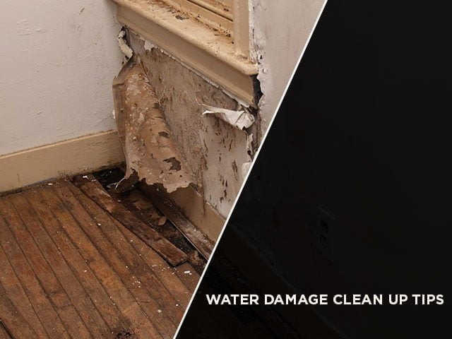 Water Damage Clean Up Tips