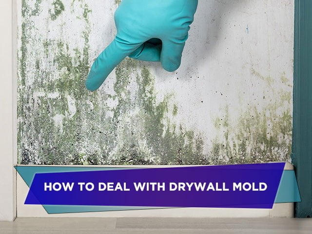 How to Deal With Drywall Mold