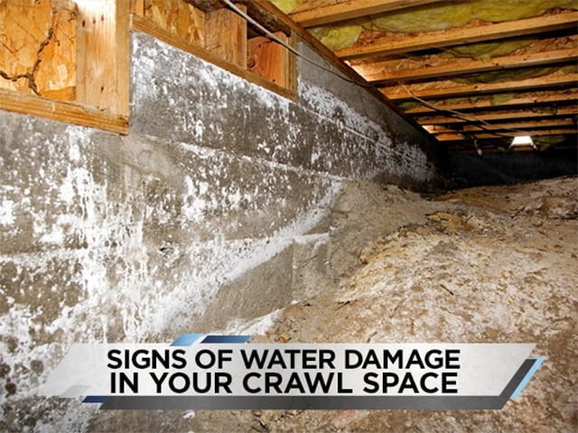 Signs of Water Damage in Your Crawl Space