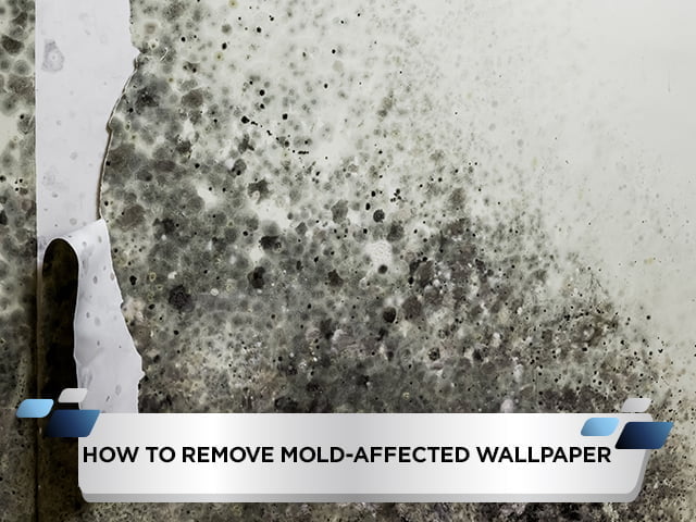 How To Remove Mold-Affected Wallpaper