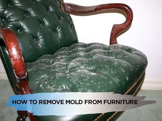 How To Remove Mold From Furniture