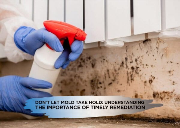 Don't Let Mold Take Hold: Understanding the Importance of Timely ...