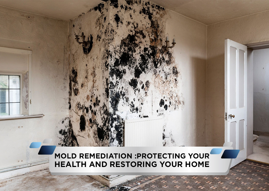 Mold Remediation: Protecting Your Health and Restoring Your Home