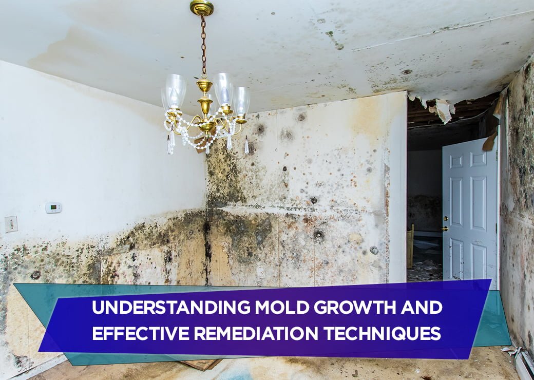 Understanding Mold Growth and Effective Remediation Techniques